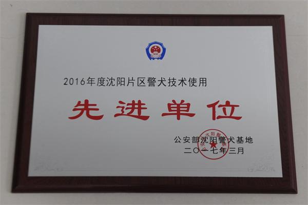 2019.jpg